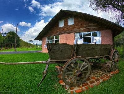 imagem-miniatura