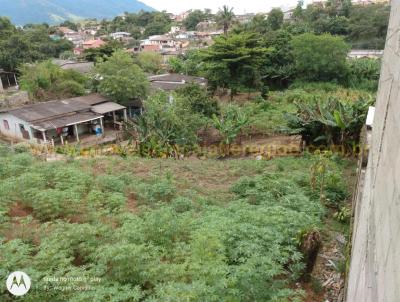 Lote para Venda, em Cajati, bairro Inhuguvira