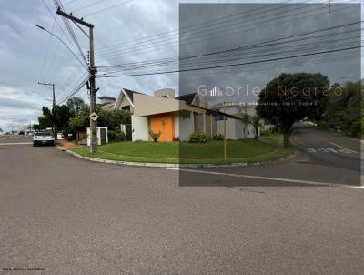 imagem-miniatura