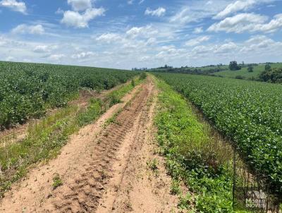 Fazenda para Venda, em Itapetininga, bairro Centro