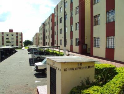 Imóvel para Renda para Venda, em Maringá, bairro Zona 7, 2 dormitórios, 1 banheiro, 1 vaga