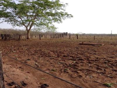 Stio para Venda, em Alto Paraguai, bairro centro, 1 dormitrio, 1 banheiro