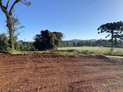 Terreno para Venda, em Erechim, bairro Bairro Esperana