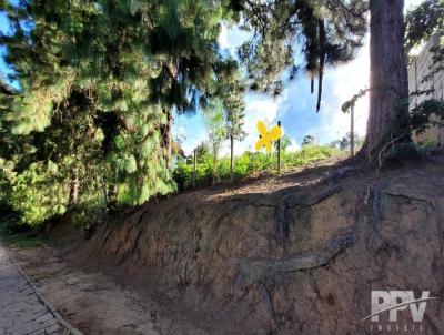 Terreno para Venda, em Terespolis, bairro Fazenda Suia