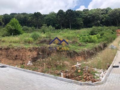 Terreno para Venda, em Bento Gonalves, bairro Salgado