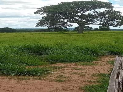 Fazenda para Venda, em Juscimeira, bairro centro, 2 dormitrios, 1 vaga