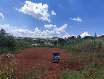 Terreno para Venda, em Pato Branco, bairro Industrial II