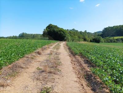 rea Rural para Venda, em Serto Santana, bairro ., 2 dormitrios