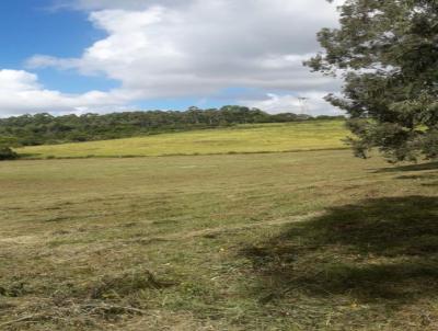 rea Rural para Venda, em Camaqu, bairro Capela Santo Antnio, 2 dormitrios, 1 banheiro