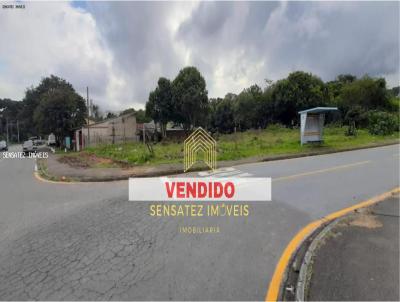 Terreno para Venda, em Araucria, bairro Tindiquera