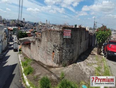 Terreno para Venda, em So Paulo, bairro Jardim Peri, 19 vagas