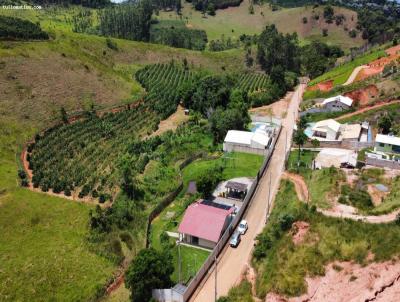 Lote para Venda, em Ervlia, bairro Zona rural