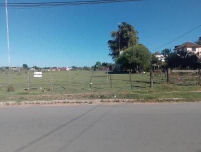 Terreno para Venda, em Bag, bairro Camilo Gomes