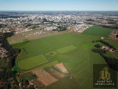 Loteamento para Venda, em Cascavel, bairro Brasmadeira