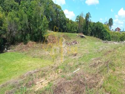 Stio para Venda, em Bento Gonalves, bairro SAO PEDRO