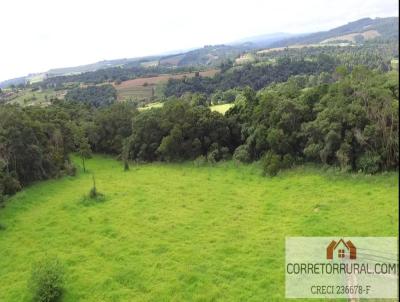 Terreno para Venda, em Piedade, bairro Leite