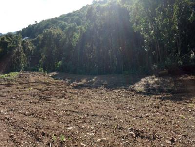 Terreno para Venda, em Bento Gonalves, bairro VERONA