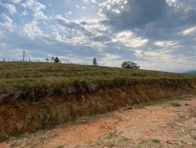 Terreno para Venda, em Canelinha, bairro Cobre