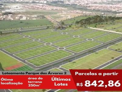 imagem-miniatura