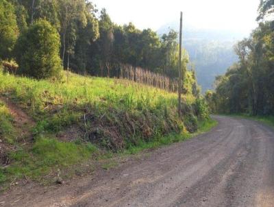 Stio / Chcara para Venda, em Nova Petrpolis, bairro Arroio Paixo