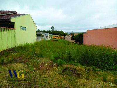 Terreno para Venda, em Balsa Nova, bairro Centro