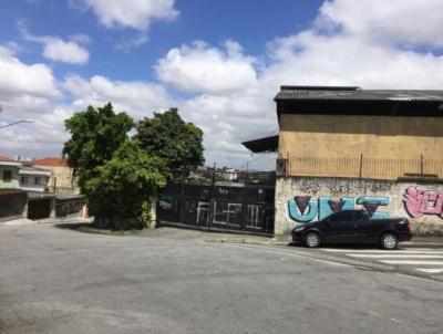 Galpo para Locao, em So Paulo, bairro Cangaiba, 2 banheiros, 10 vagas