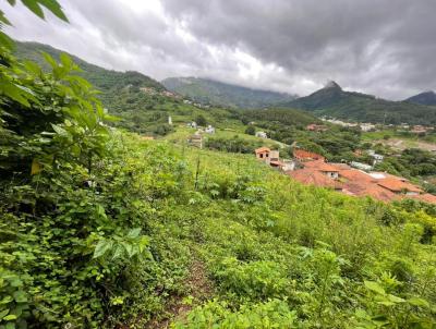 Terreno para Venda, em Nova Friburgo, bairro Cnego