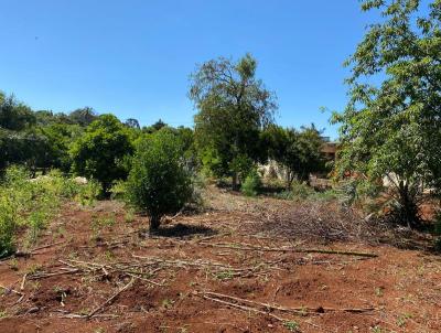 Terreno para Venda, em Erechim, bairro Jos Bonifcio