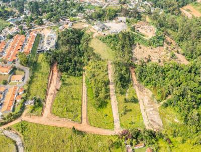 Terreno para Venda, em Suzano, bairro Jardim Gardnia Azul