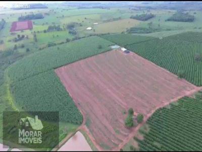 Fazenda para Venda, em Rancharia, bairro Rancharia