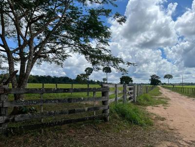 Stio para Venda, em Sinop, bairro centro