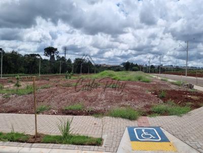 Terreno para Venda, em Cascavel, bairro Recanto Tropical