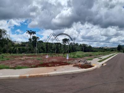 Terreno para Venda, em Cascavel, bairro Tropical ll