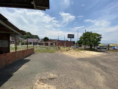 Terreno para Locao, em So Leopoldo, bairro Scharlau