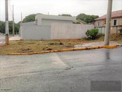 Terreno para Venda, em Oriente, bairro Centro