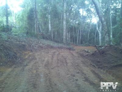 Terreno para Venda, em Terespolis, bairro Fazenda Suia