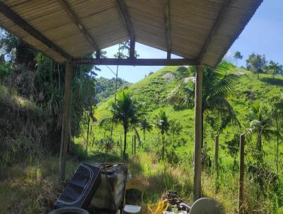 Chcara para Venda, em Tangu, bairro Tomascar