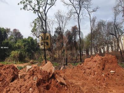 Terreno para Venda, em Bauru, bairro Vila Aviao B