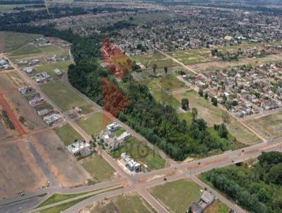 Terreno para Venda, em Sinop, bairro Jardim Itlia III