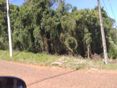 Terreno para Venda, em Erechim, bairro Agrcola