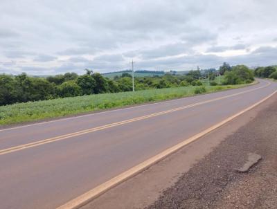 Chcara para Venda, em Humait, bairro interior