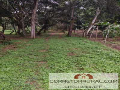 Terreno para Venda, em Ibina, bairro Ressaca