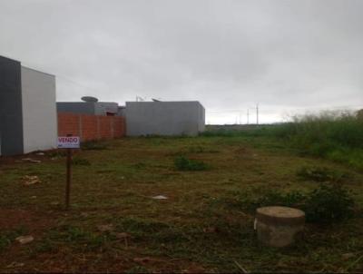 Terreno para Venda, em Lucas do Rio Verde, bairro Vida Nova