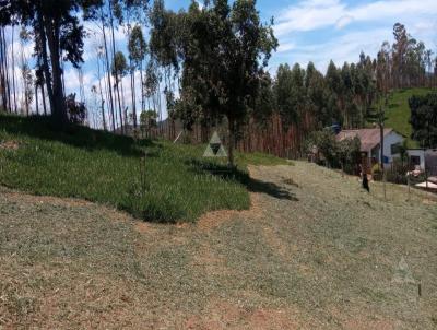Terreno para Venda, em Mairipor, bairro Terra Preta