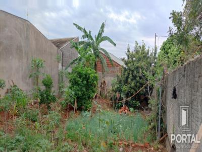 Terreno para Venda, em Maring, bairro Jardim Catedral