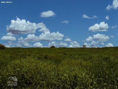 Fazenda para Venda, em Verdelndia, bairro (Fazendinha)