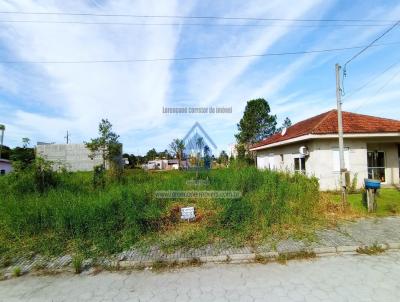 Terreno para Venda, em Pontal do Paran, bairro ATAMI