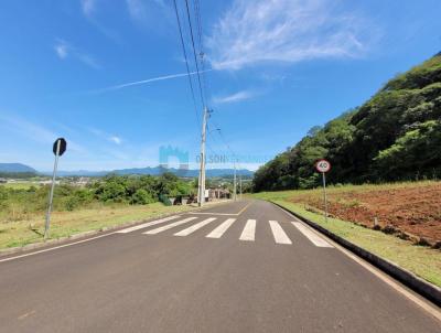 Lote para Venda, em Nova Veneza, bairro Centro