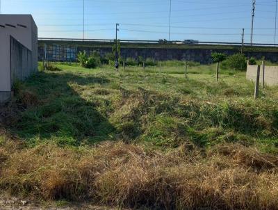 Terreno para Venda, em Santa Rosa do Sul, bairro Centro