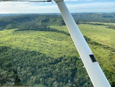 Fazenda para Venda, em Acorizal, bairro (Fazendinha)